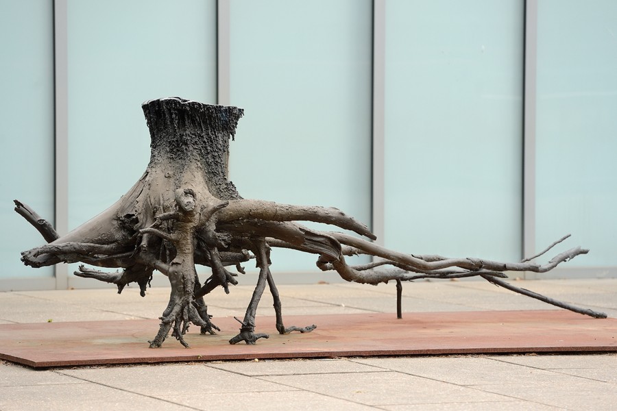 tree root sculpture
